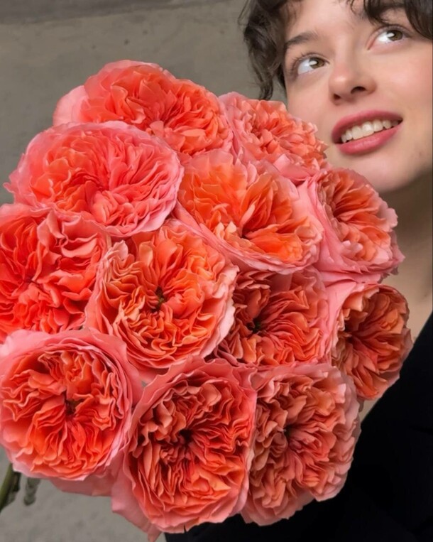 Роза мандарин. Яркая роскошь, артикул F1383865 - 8200 рублей, доставка по городу. Flawery - доставка цветов