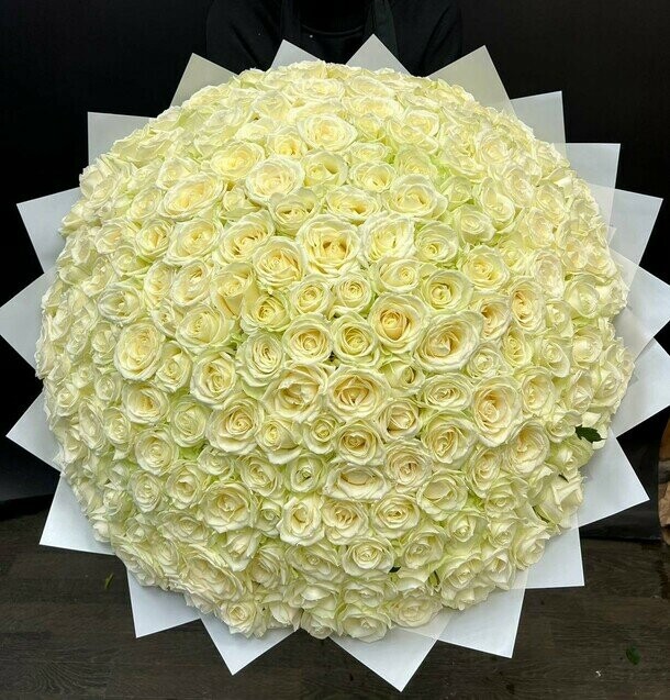 201 белая роза аваланж 70 см, артикул F1372057 - 51000 рублей, доставка по городу. Flawery - доставка цветов