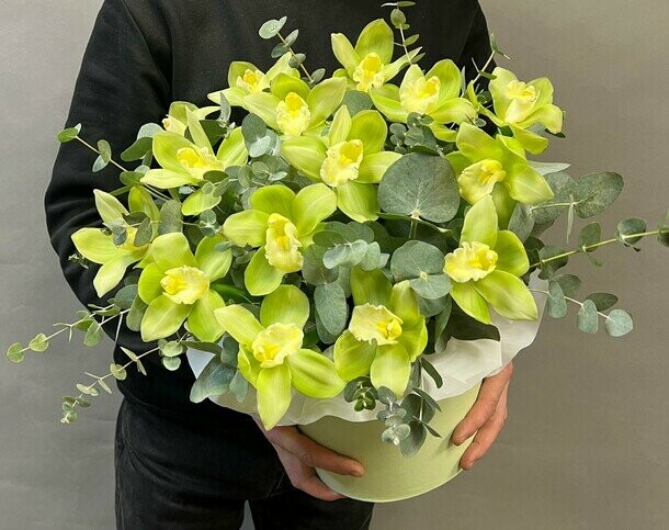 Зеленые орхидеи цимбидиум в коробке, артикул F1396872 - 9900 рублей, доставка по городу. Flawery - доставка цветов