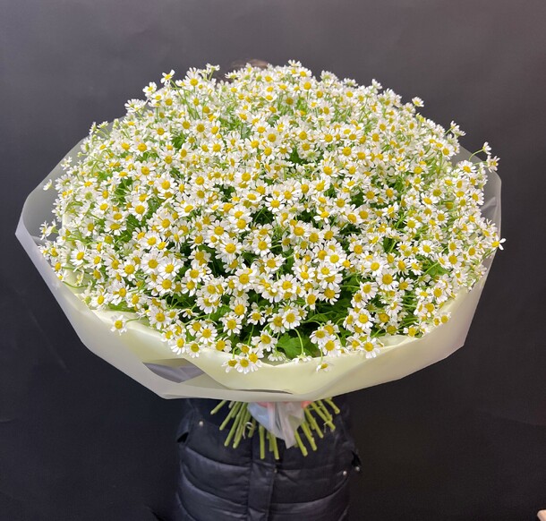 Полевые ромашки 49 шт, артикул F1398260 - 12300 рублей, доставка по городу. Flawery - доставка цветов