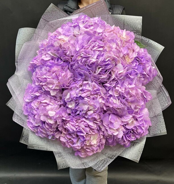 Фиолетовая гортензия 15 шт, артикул F1401543 - 8000 рублей, доставка по городу. Flawery - доставка цветов