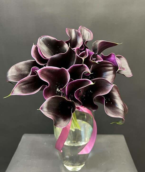 Черные каллы 19 шт, артикул F1411397 - 8990 рублей, доставка по городу. Flawery - доставка цветов