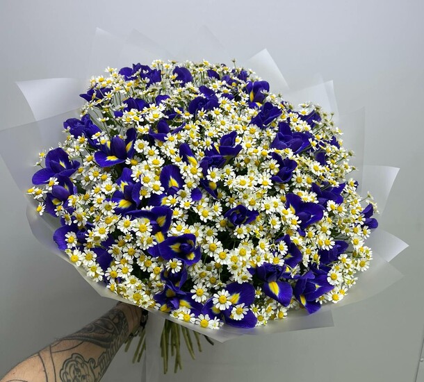 Полевые ромашки с ирисами, артикул F1448297 - 11500 рублей, доставка по городу. Flawery - доставка цветов