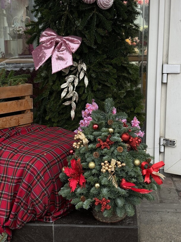 Уютная елочка, артикул F1238714 - 5000 рублей, доставка по городу. Flawery - доставка цветов