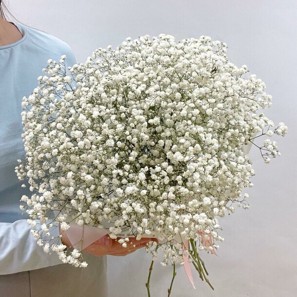 Веточки гипсофилы, артикул F1410926 - 5859 рублей, доставка по городу. Flawery - доставка цветов