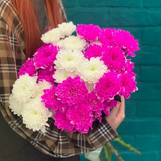 Букет из разноцветных хризантем, артикул F1411409 - 3677 рублей, доставка по городу. Flawery - доставка цветов