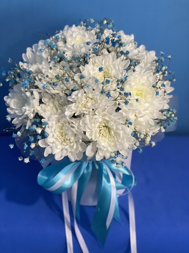 Белые хризантемы и голубая гипсофила в коробке, артикул F1372772 - 3500 рублей, доставка по городу. Flawery - доставка цветов
