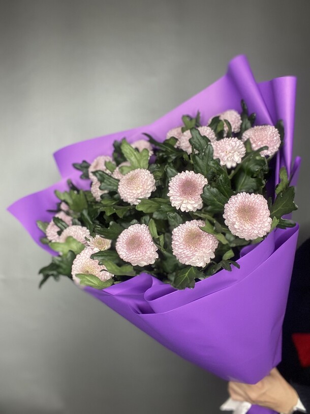 Хризантема момоко, артикул F1373962 - 11700 рублей, доставка по городу. Flawery - доставка цветов