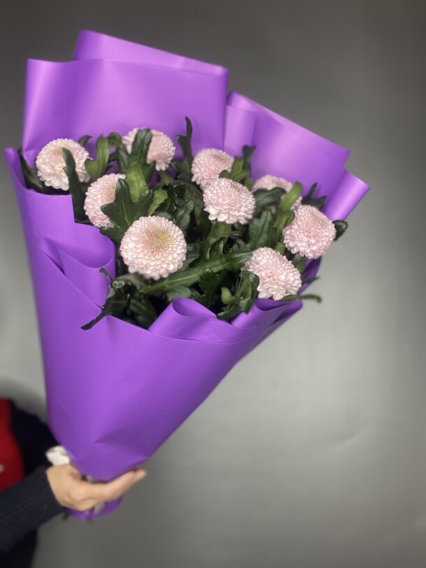 Хризантема момоко 9 шт, артикул F1373992 - 5700 рублей, доставка по городу. Flawery - доставка цветов