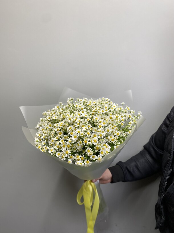 Ромашки луговые 49 шт, артикул F1385343 - 13500 рублей, доставка по городу. Flawery - доставка цветов
