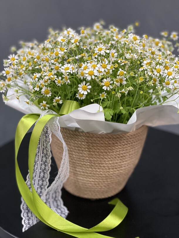 Ромашки в джутовом кашпо, артикул F1446363 - 5990 рублей, доставка по городу. Flawery - доставка цветов
