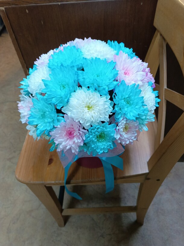 Хризантемы в коробке, артикул F1374337 - 3800 рублей, доставка по городу. Flawery - доставка цветов