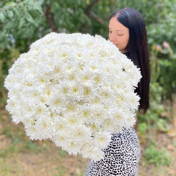 Огромное облачко белых хризантем, артикул F1205276 - 10582 рублей, доставка по городу. Flawery - доставка цветов
