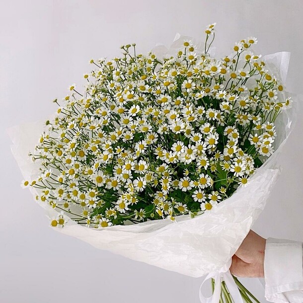 Большой букет  полевых ромашек, артикул F1229158 - 8419 рублей, доставка по городу. Flawery - доставка цветов
