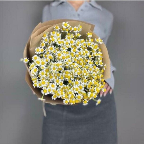 Свёрточек ромашек, артикул F1229648 - 6076 рублей, доставка по городу. Flawery - доставка цветов