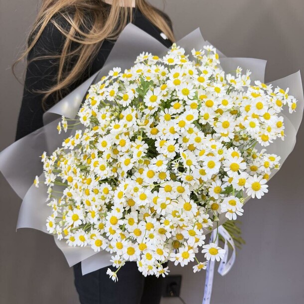 Ромашки (25 веток) 🤍🌼, артикул F1510536 - 8200 рублей, доставка по городу. Flawery - доставка цветов