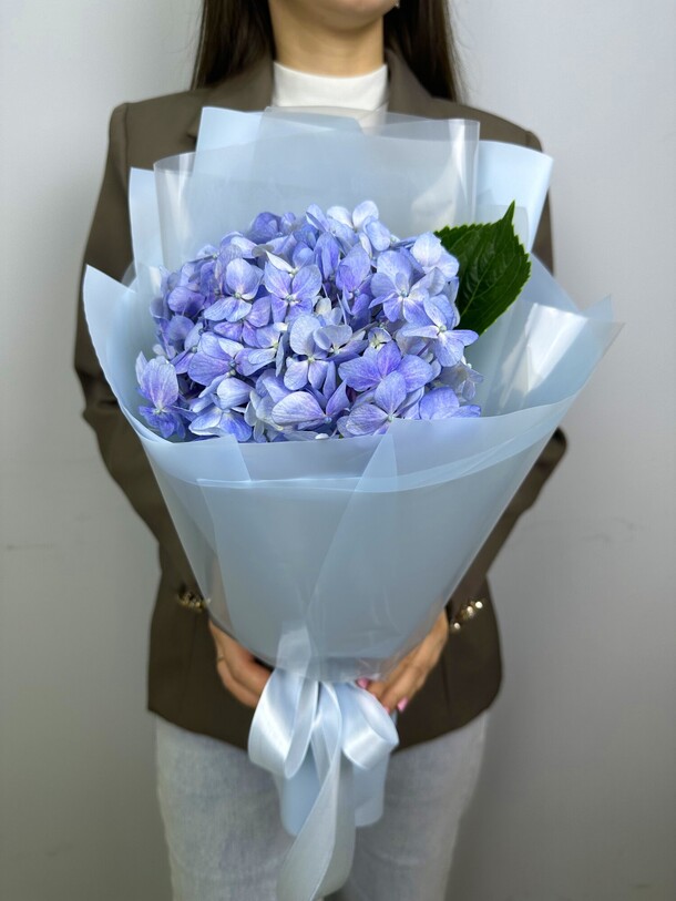 Гортензия в дизайнерской упаковке, артикул F1309302 - 1714 рублей, доставка по городу. Flawery - доставка цветов