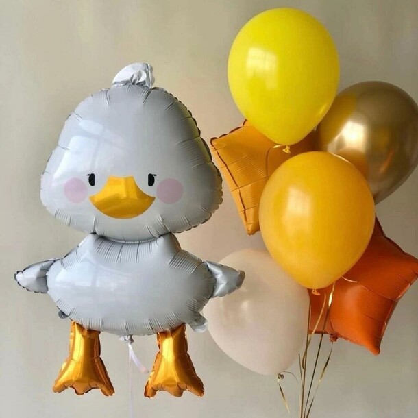 Гусь обнимусь, артикул F1399828 - 4870 рублей, доставка по городу. Flawery - доставка цветов