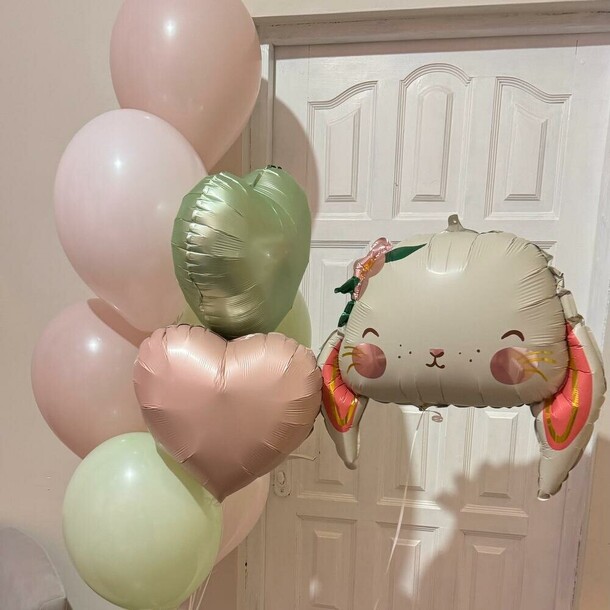 Воздушные шары для девочки милашка, артикул F1443352 - 5410 рублей, доставка по городу. Flawery - доставка цветов