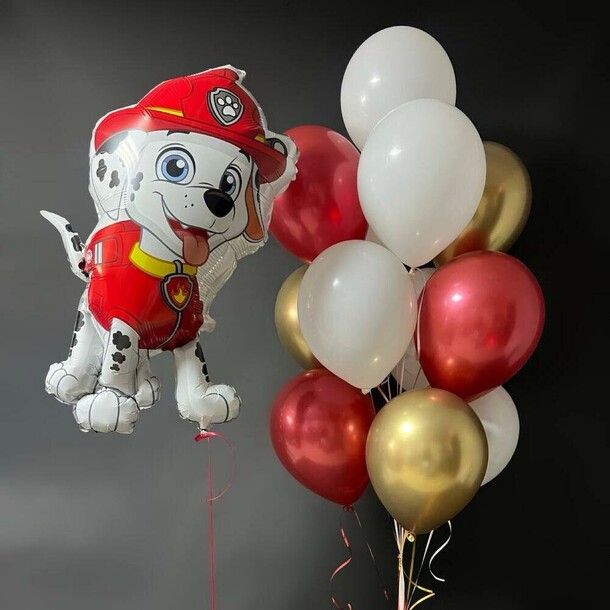 Воздушные шары для девочки отважный спасатель, артикул F1443379 - 6360 рублей, доставка по городу. Flawery - доставка цветов