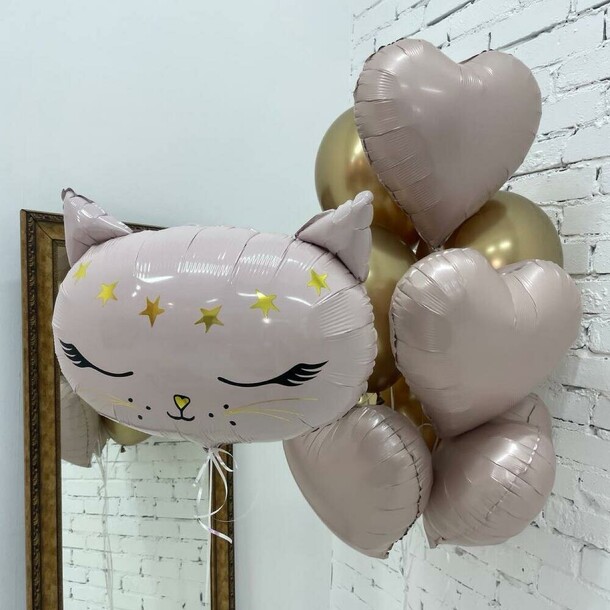 Шары для девочек розовая кошка, артикул F1450816 - 6348 рублей, доставка по городу. Flawery - доставка цветов