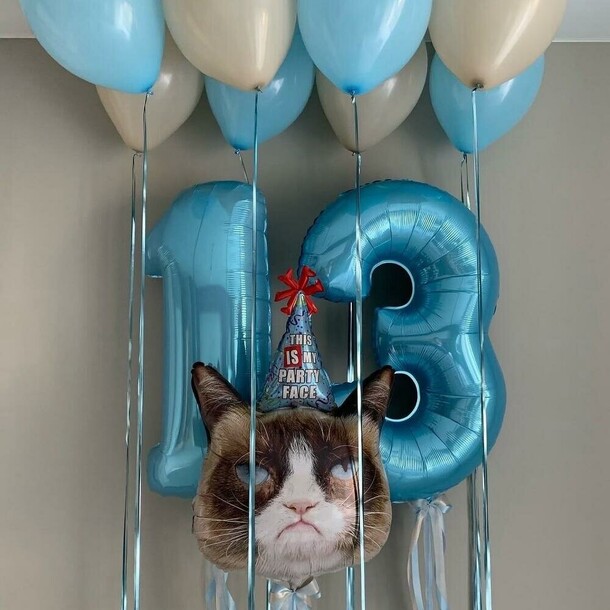 Шары для мальчика кошка, артикул F1457857 - 7680 рублей, доставка по городу. Flawery - доставка цветов