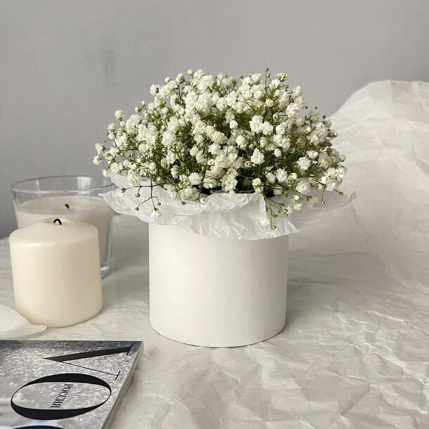 Коробка с гипсофилой, артикул F1376002 - 2727 рублей, доставка по городу. Flawery - доставка цветов