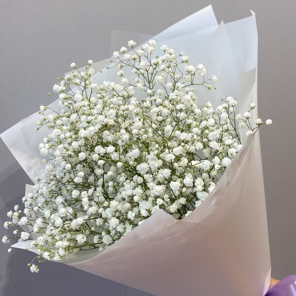 Гипсофила белая 3, артикул F1376006 - 1091 рублей, доставка по городу. Flawery - доставка цветов