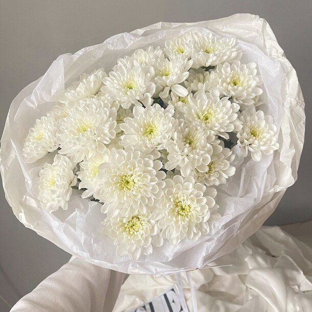 Хризантема белая 5, артикул F1376971 - 2000 рублей, доставка по городу. Flawery - доставка цветов