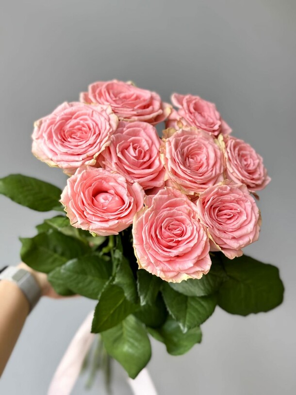 Sophia loren 9, артикул F1436627 - 2455 рублей, доставка по городу. Flawery - доставка цветов