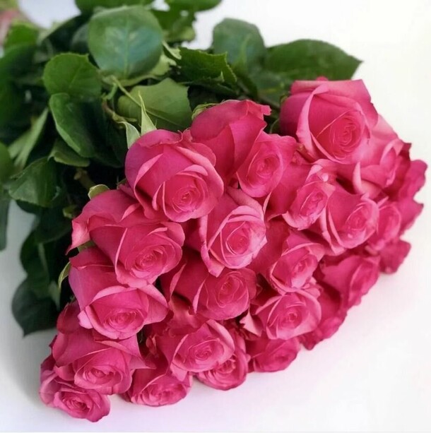 Букет из 25 малиновых роз (фуксия), артикул F1214943 - 10900 рублей, доставка по городу. Flawery - доставка цветов