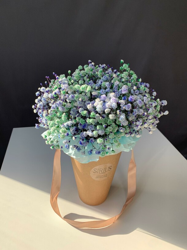 Конус с гипсофилой, артикул F1325831 - 3148 рублей, доставка по городу. Flawery - доставка цветов