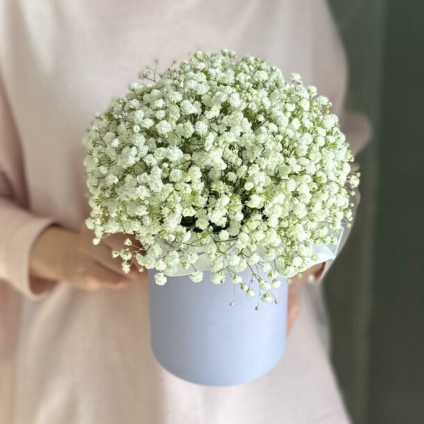 Нежная гипсофила, артикул F1395059 - 2150 рублей, доставка по городу. Flawery - доставка цветов