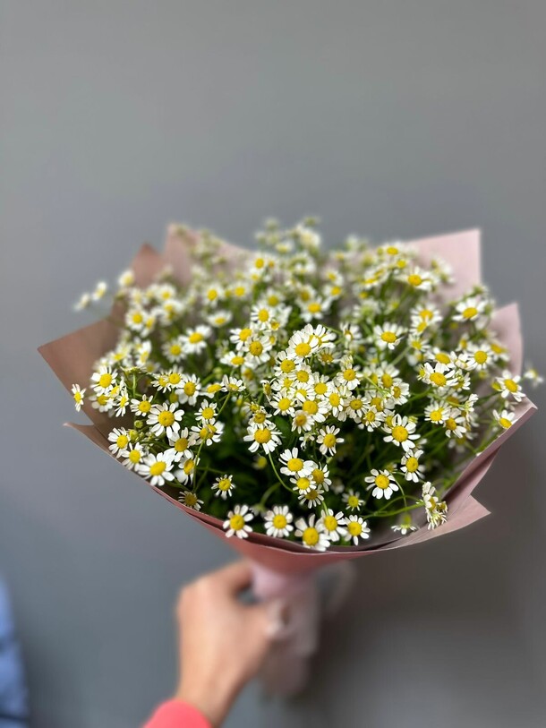 Букет из ромашек, артикул F1413645 - 2487 рублей, доставка по городу. Flawery - доставка цветов