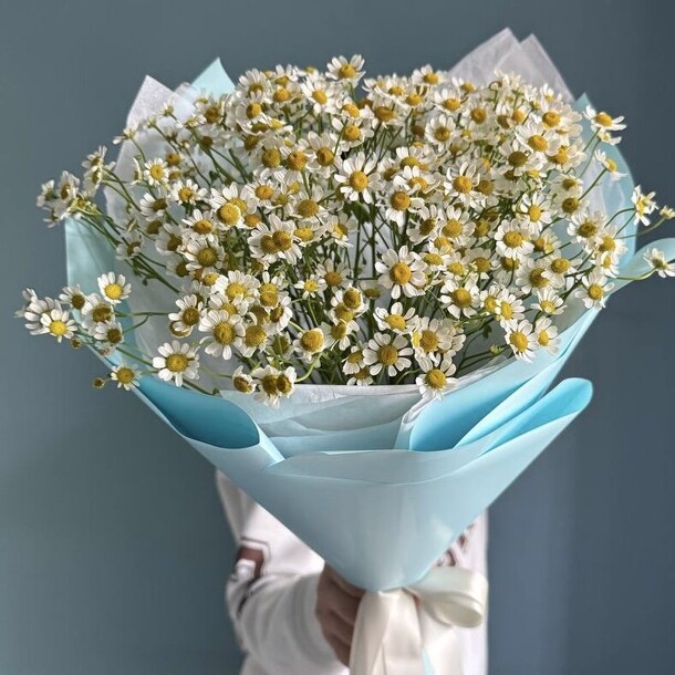 Полевая ромашка букет из ромашек, артикул F1404690 - 7260 рублей, доставка по городу. Flawery - доставка цветов