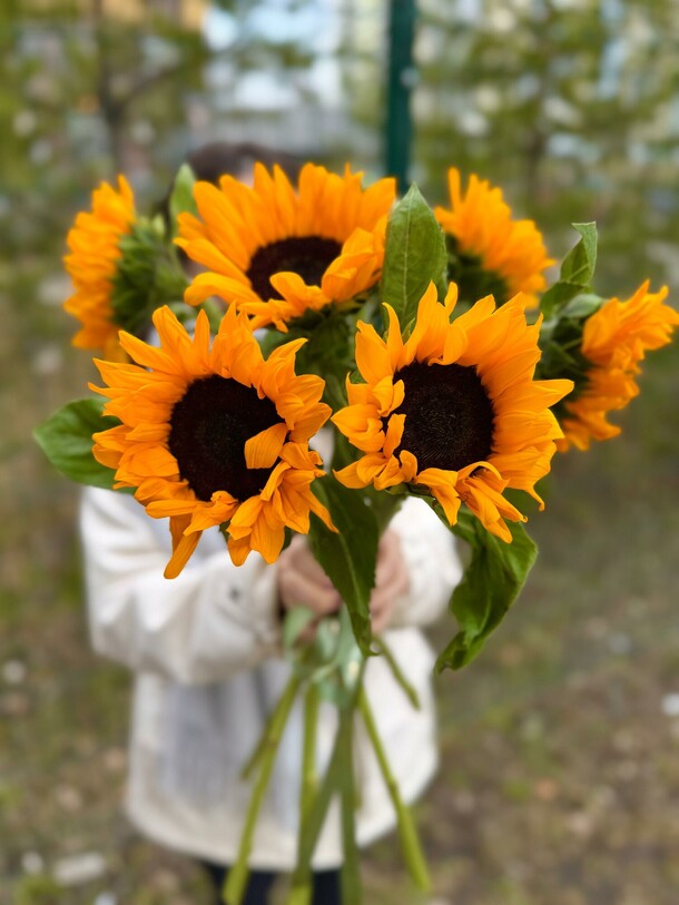 Букет с подсолнухами, артикул F1406312 - 3350 рублей, доставка по городу. Flawery - доставка цветов