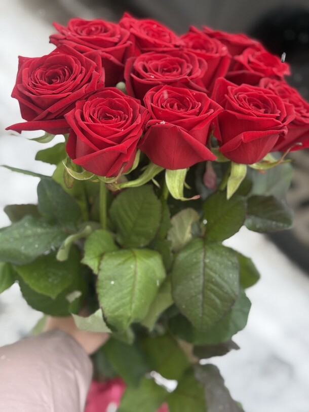 11 длинных красных роз, артикул F1397425 - 3500 рублей, доставка по городу. Flawery - доставка цветов