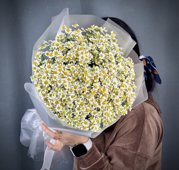 Полевая ромашка, артикул F1397151 - 8900 рублей, доставка по городу. Flawery - доставка цветов