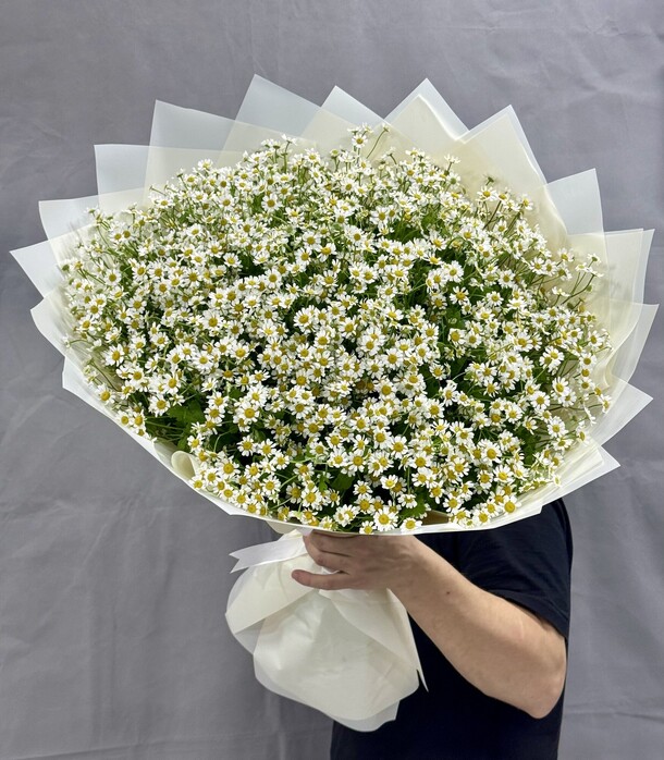 Полевые ромашки, артикул F1398104 - 15900 рублей, доставка по городу. Flawery - доставка цветов