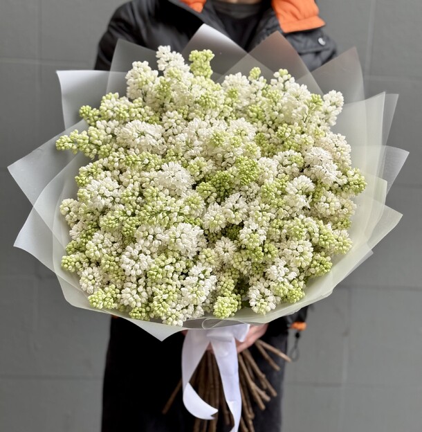 Премиум сирень, артикул F1399576 - 49900 рублей, доставка по городу. Flawery - доставка цветов