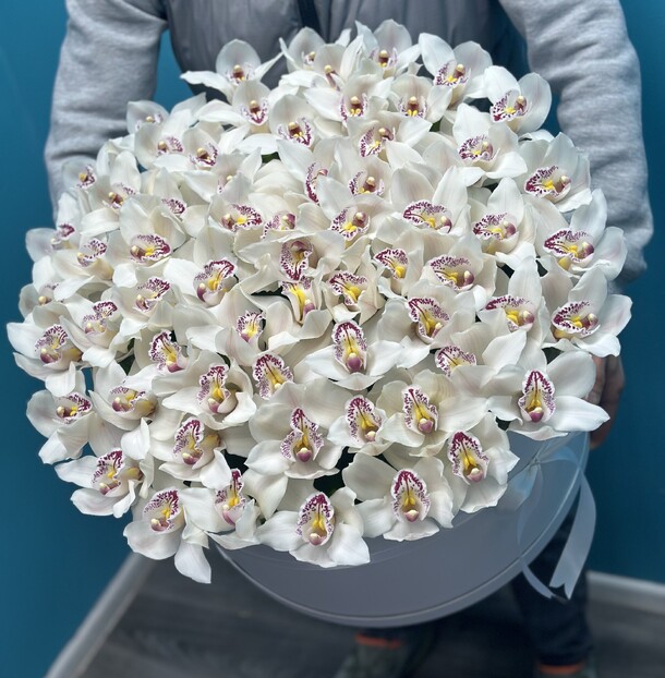 Белая орхидея в коробке, артикул F1402365 - 35900 рублей, доставка по городу. Flawery - доставка цветов