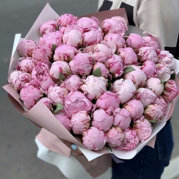 Романтическая свежесть: 51 розовый пион, артикул F1424099 - 70686 рублей, доставка по городу. Flawery - доставка цветов