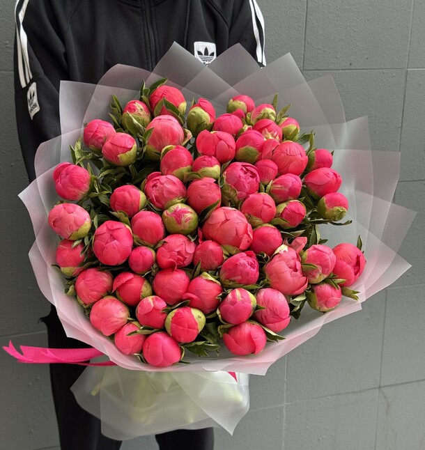 51 коралловые пионы, артикул F1435399 - 49500 рублей, доставка по городу. Flawery - доставка цветов