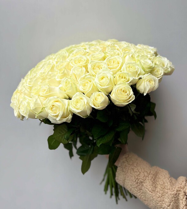 Букет 101 роза белая, огромный букет цветов высота 60 см, букет живых цветов, россия, арт: 1556, артикул F1429579 - 60600 рублей, доставка по городу. Flawery - доставка цветов