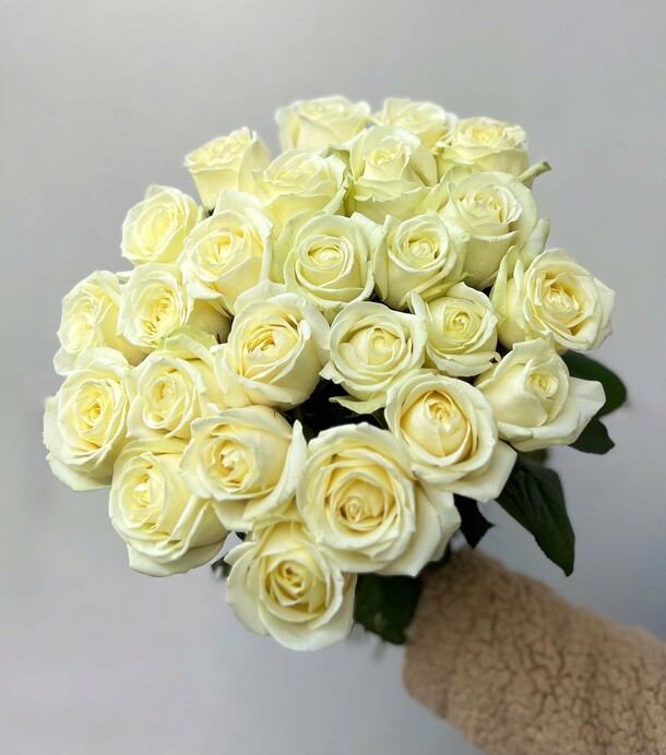 Букет из 25 белых роз, красивый букет цветов роз 50 см, букет живых цветов, россия, арт: 1572, артикул F1429631 - 13750 рублей, доставка по городу. Flawery - доставка цветов
