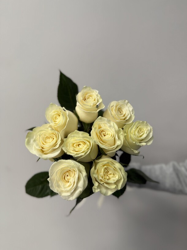 Букет из 9 белых роз эквадор 50 см под ленту, арт: 3124, артикул F1500832 - 5550 рублей, доставка по городу. Flawery - доставка цветов