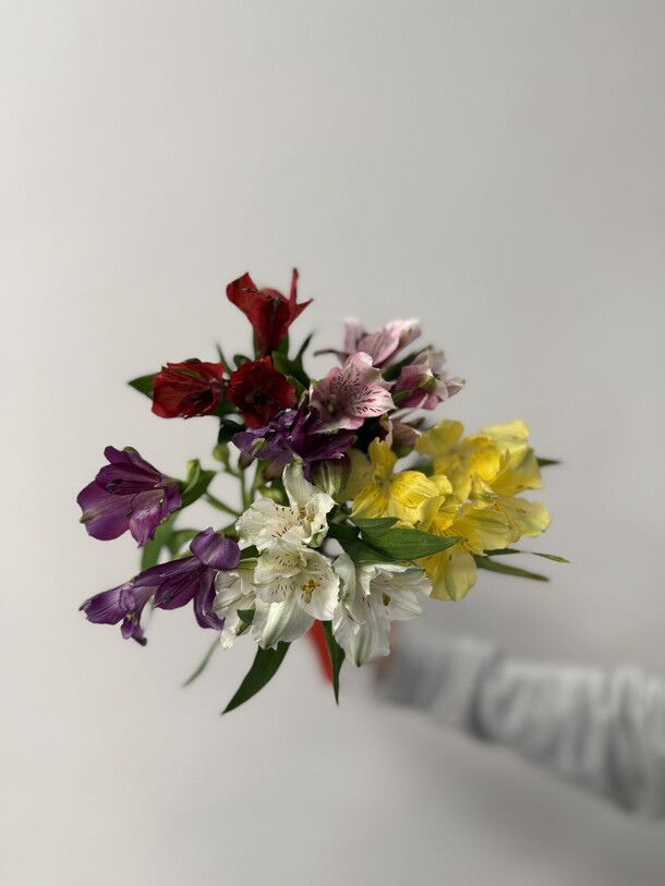 Букет из 5 альстромерий микс под ленту, арт: 3125, артикул F1500833 - 2900 рублей, доставка по городу. Flawery - доставка цветов