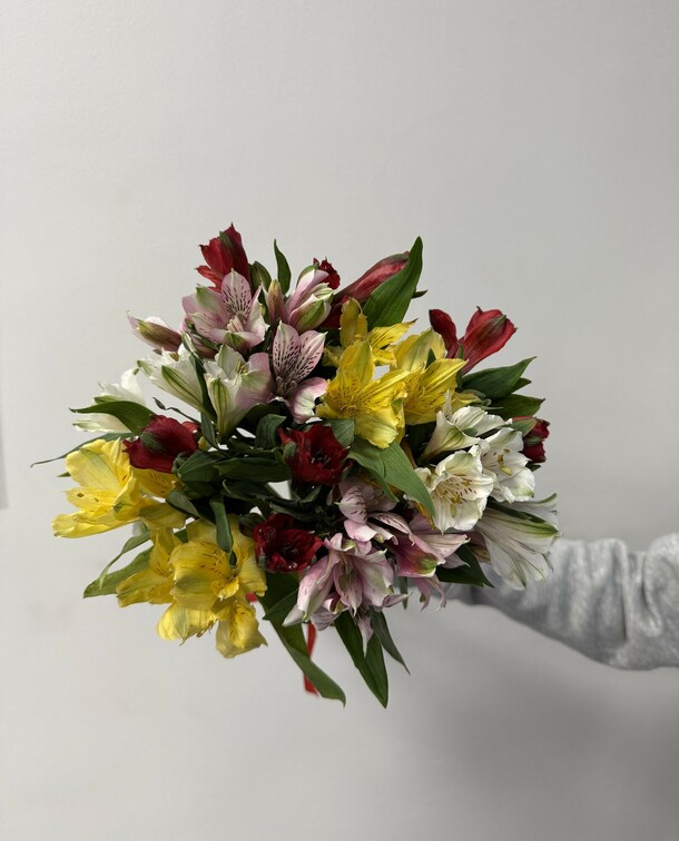 Букет из 11 альстромерий микс под ленту, арт: 3127, артикул F1500834 - 6200 рублей, доставка по городу. Flawery - доставка цветов