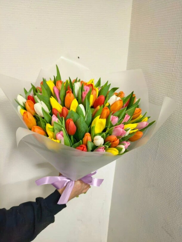 Букет живых цветов - 101 тюльпан микс, размер xl, высота 40 см, голландия | турбофлора, арт: 7103, артикул F1531072 - 40550 рублей, доставка по городу. Flawery - доставка цветов