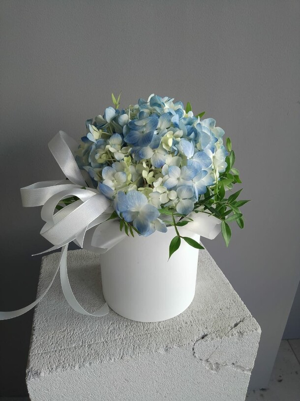 Гортензия в коробочке, артикул F1399873 - 3025 рублей, доставка по городу. Flawery - доставка цветов